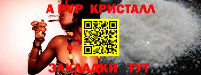 стаф Сланцы