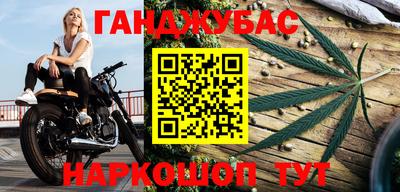 стаф Славгород