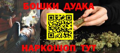 стаф Сланцы