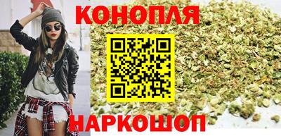 стаф Сланцы