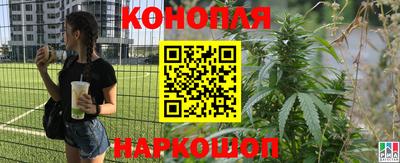 стаф Славгород