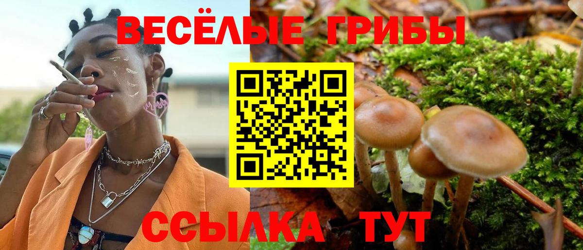 Галлюциногенные грибы ЛСД  Вход с VPN  Чусовой 